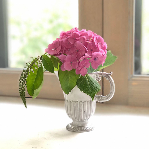 レジョンス　ソースポット イメージ画像3