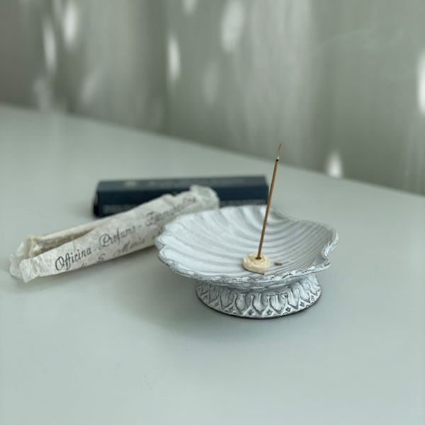 ネプチューン　シェル皿 イメージ画像2