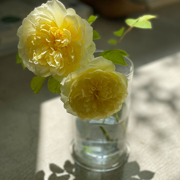 【Paris】グラスL イメージ画像2