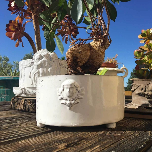 【Mon Jules】ポット イメージ画像1