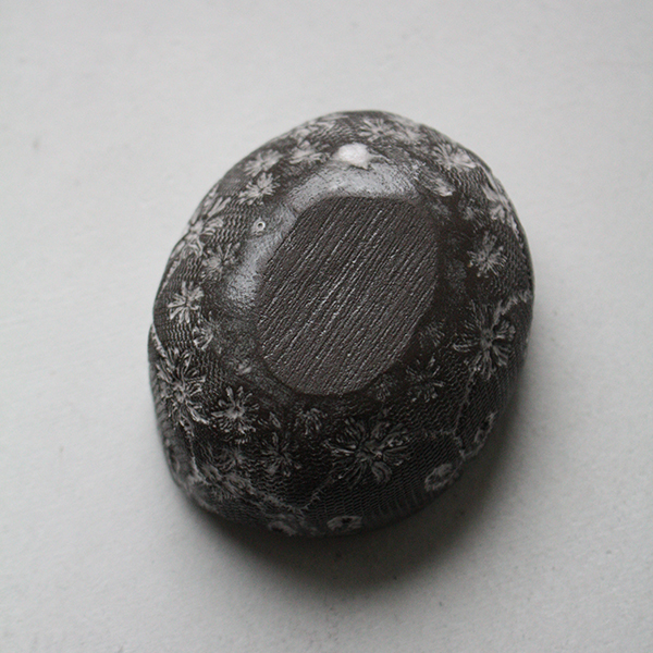 エッグカップ イメージ画像3