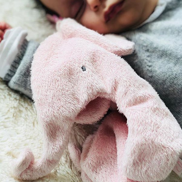 【OSCAR オスカー】doudou S（ピンク）のイメージ画像