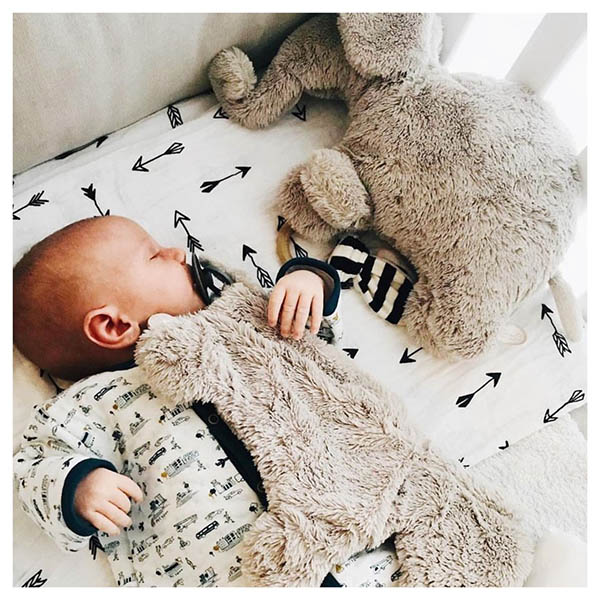 【OSCAR オスカー】doudou M（ライトグレー） イメージ画像3