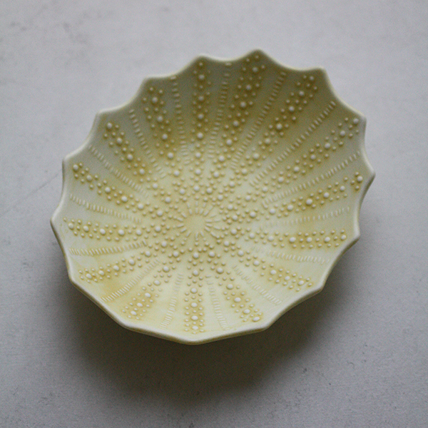 シェルプレート【フジコ】イエローのイメージ画像