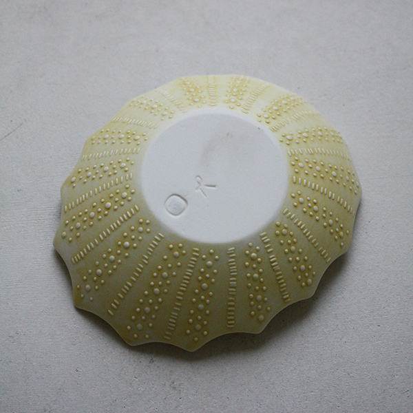 シェルプレート【フジコ】イエロー イメージ画像3