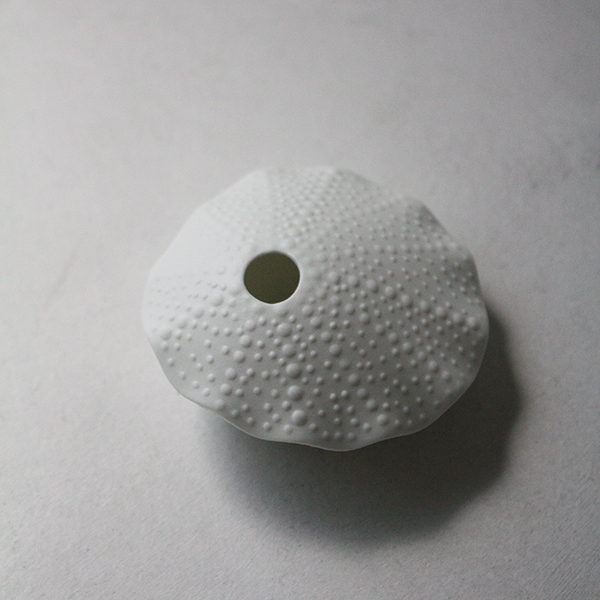 シェルベース【貝】 イメージ画像1