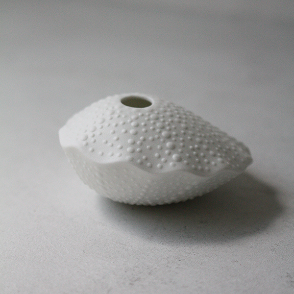 シェルベース【貝】 イメージ画像2