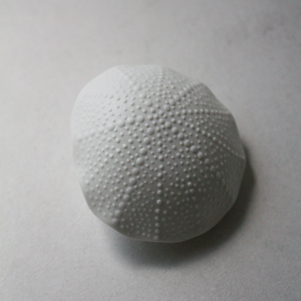 シェルベース【貝】 イメージ画像3