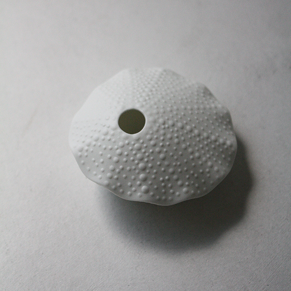 シェルベース【貝】のイメージ画像