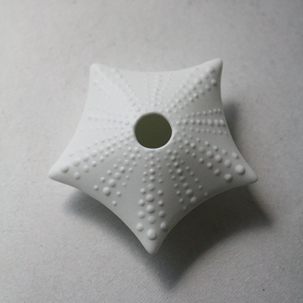 シェルベース【ヒトデ】