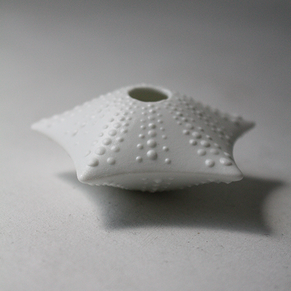 シェルベース【ヒトデ】 イメージ画像2