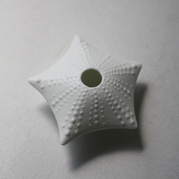 シェルベース【ヒトデ】 イメージ画像4