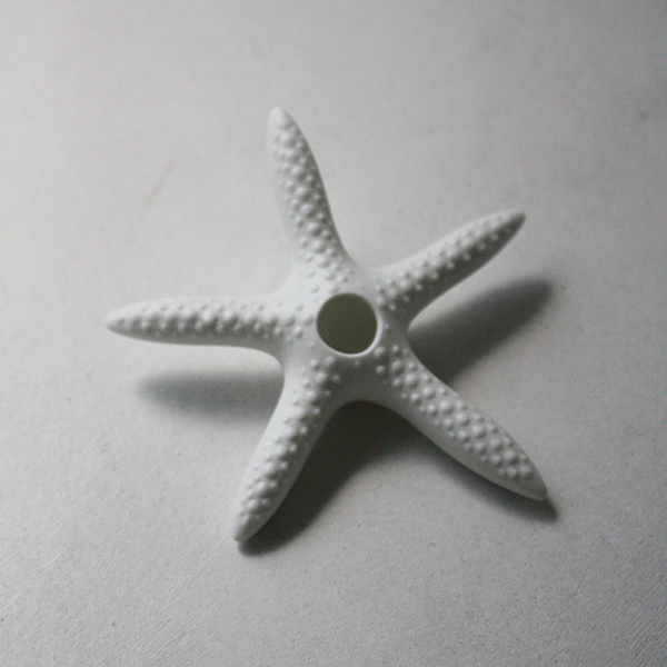 シェルベース【細ヒトデ】