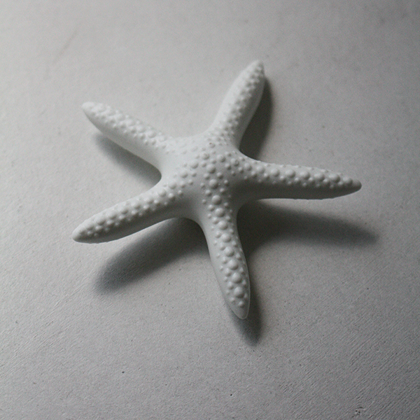 シェルベース【細ヒトデ】 イメージ画像2