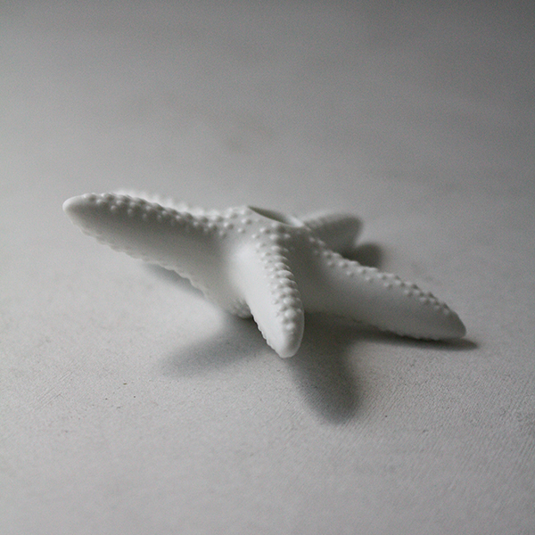 シェルベース【細ヒトデ】 イメージ画像3