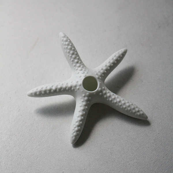 シェルベース【細ヒトデ】 イメージ画像4