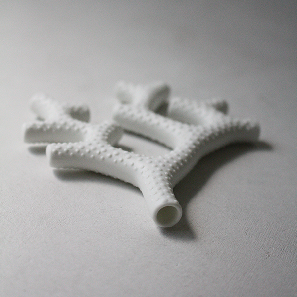 シェルベース【サンゴ】 イメージ画像2