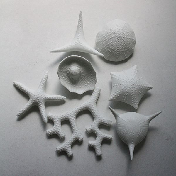 シェルベース【サンゴ】 イメージ画像1