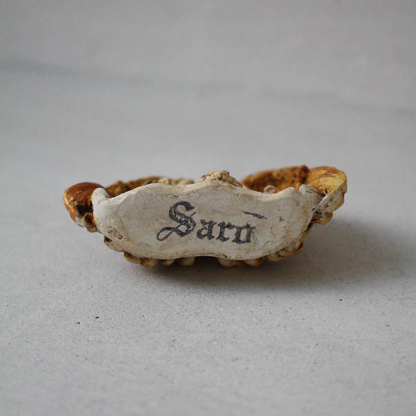 クレッシュドノエル1 イメージ画像3