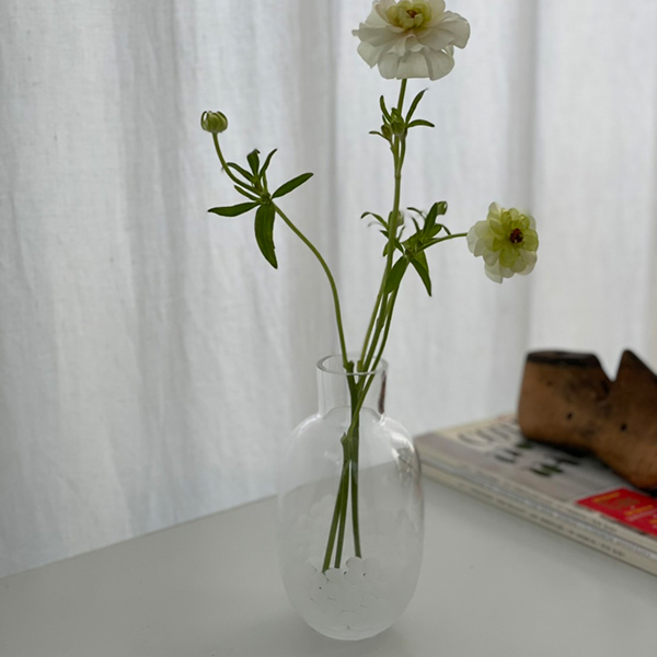 OTTILIE カラフェ S 【clear】 イメージ画像5