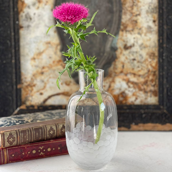 OTTILIE カラフェ S 【clear】 イメージ画像1