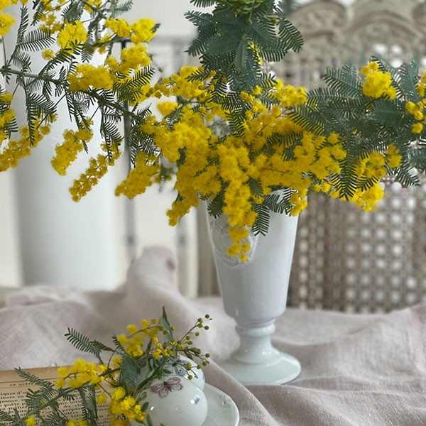 【Charles】 ベースS イメージ画像1