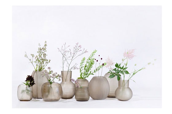 GUAXS イメージ画像