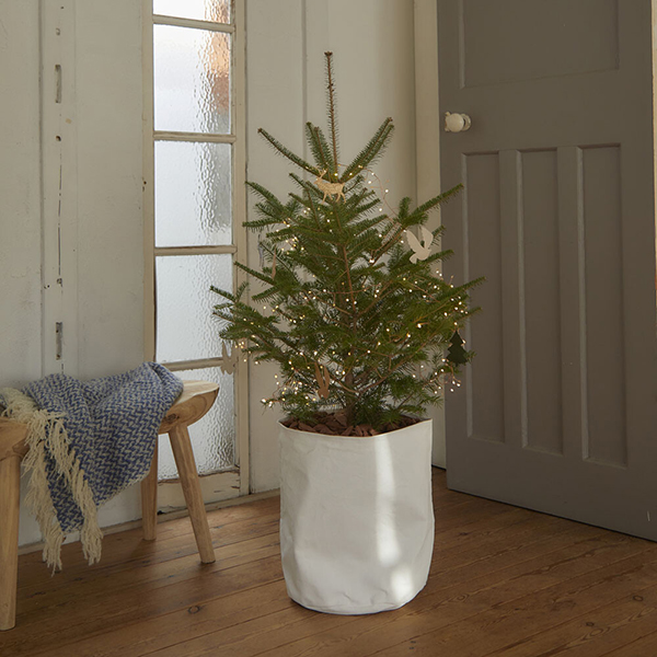 LED ワイヤーライト ブランチ グロート ロング