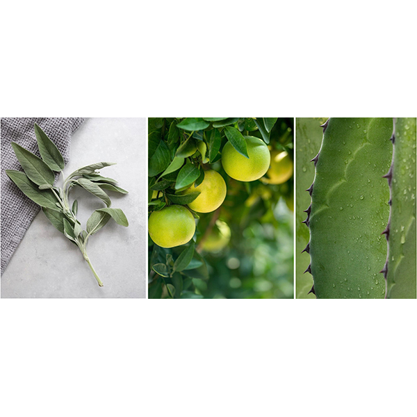 ディッシュウォッシングーアップ リキッド（キッチン用洗剤） イメージ画像2