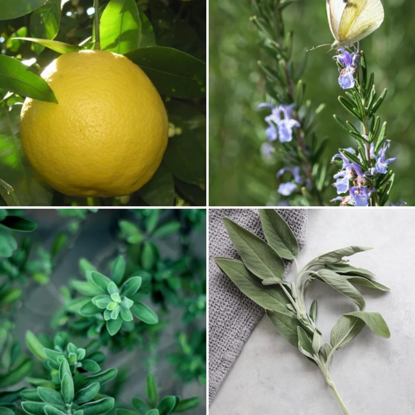 キープクリーン セーフスプレー（消毒スプレー） イメージ画像4