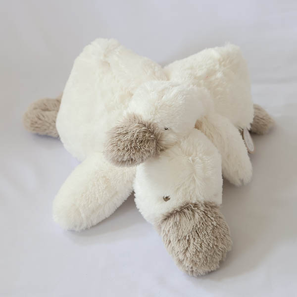 カナールS  CELINE22